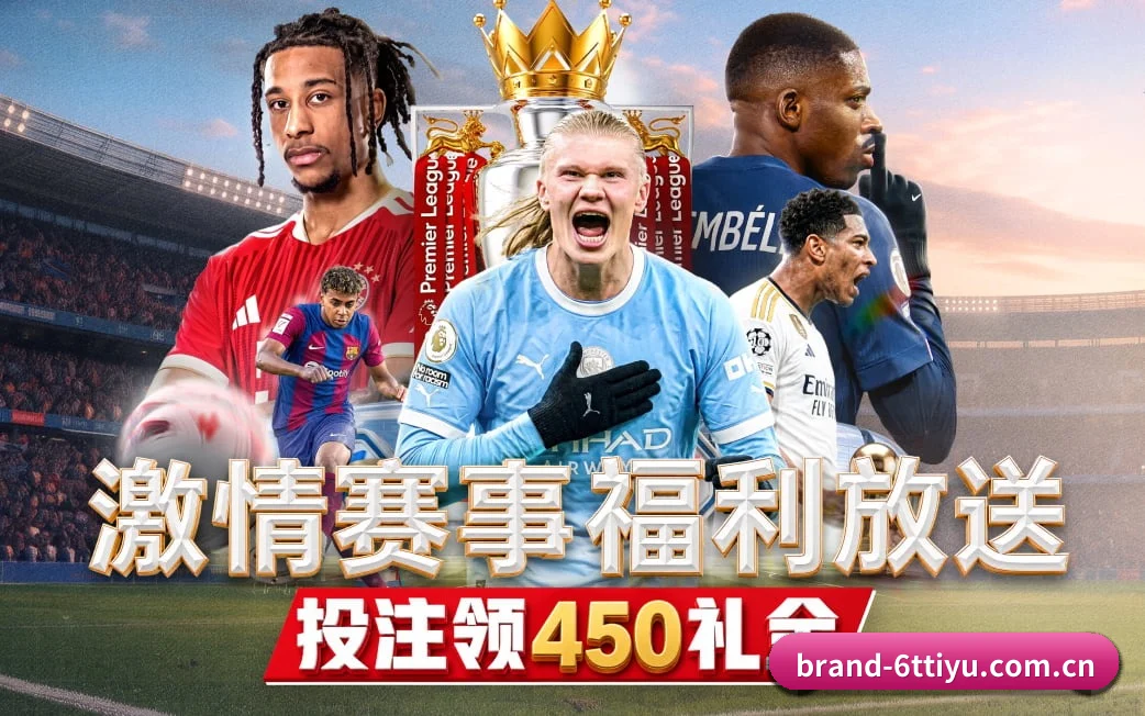 6t体育 APP 界面